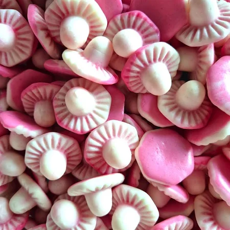 Swizzels Giant Foam Mushrooms